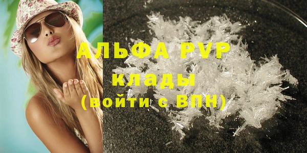 стафф Дмитров
