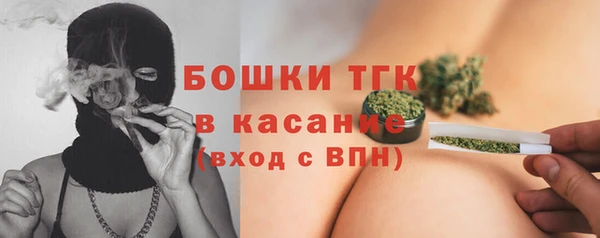 ECSTASY Горняк