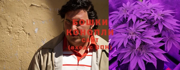 ECSTASY Горняк