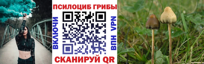 shop телеграм Дно Галлюциногенные грибы мицелий